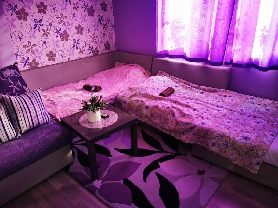 Apartment Lavender, Near To Airport صوفيا المظهر الخارجي الصورة